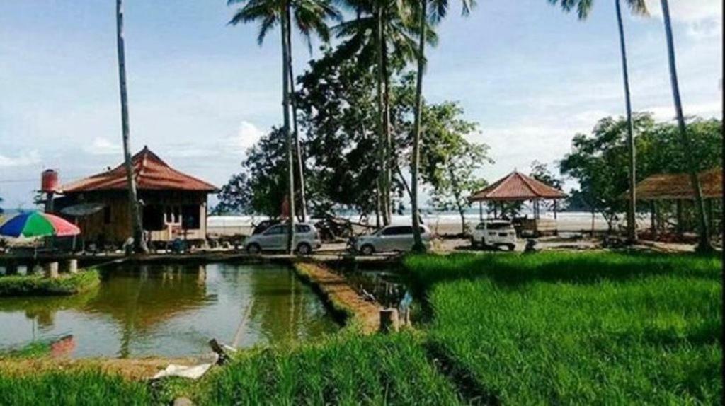Revive Lampung Krui King Resort Экстерьер фото